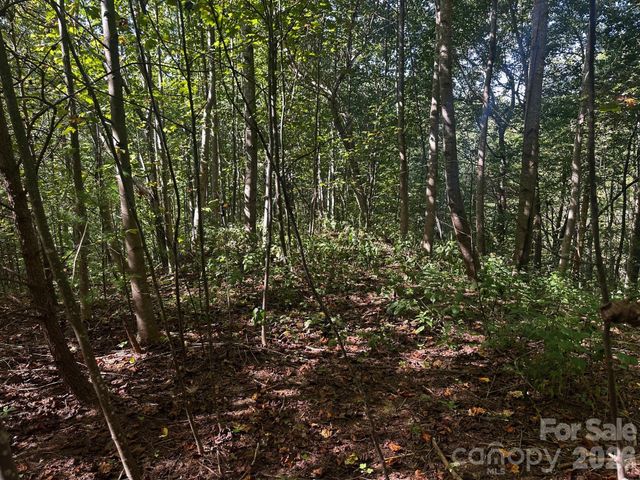 0 Clear Creek Trail, Lake Lure, NC 28746