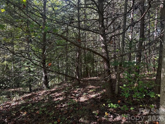 0 Clear Creek Trail, Lake Lure, NC 28746