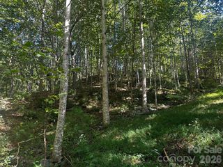 0 Clear Creek Trail, Lake Lure, NC 28746