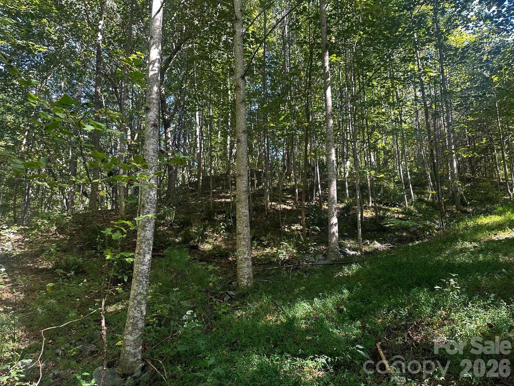 0 Clear Creek Trail, Lake Lure, NC 28746