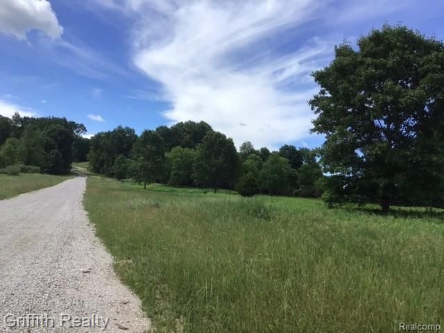 Parcel 1 E Coon Lake Road, Genoa Township, MI 48843