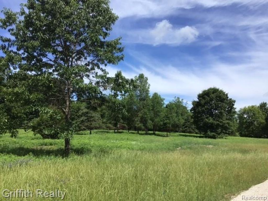 Parcel 1 E Coon Lake Road, Genoa Township, MI 48843