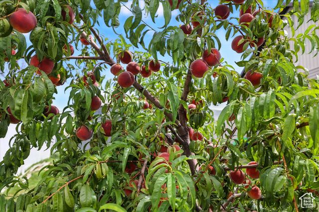 609 N 130 E, Smithfield, UT 84335