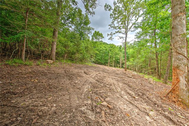 Lot 9 Eagle Cove Road, Eureka Springs, AR 72631