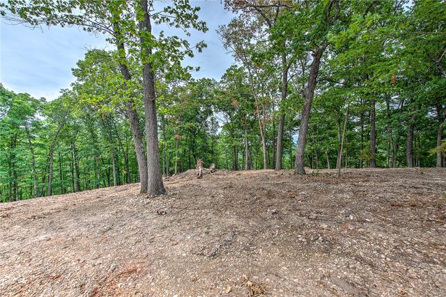 Lot 9 Eagle Cove Road, Eureka Springs, AR 72631