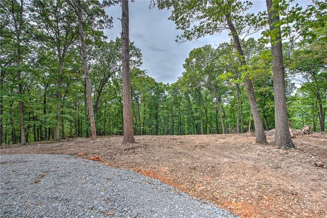Lot 9 Eagle Cove Road, Eureka Springs, AR 72631