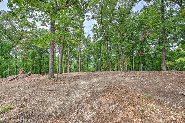 Lot 9 Eagle Cove Road, Eureka Springs, AR 72631