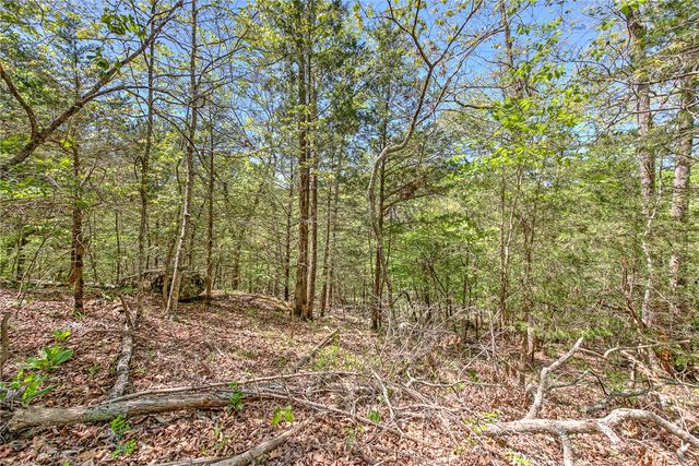Lot 9 Eagle Cove Road, Eureka Springs, AR 72631