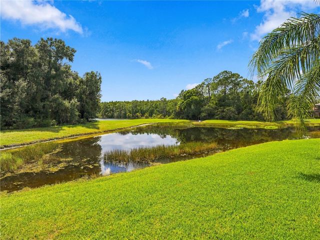20010 RYMAN PLACE, Tampa, FL 33647