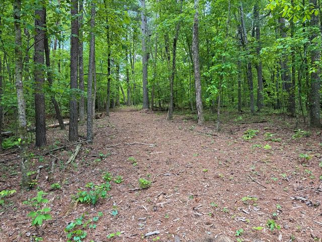 164 Reindeer Lane, Talking Rock, GA 30175