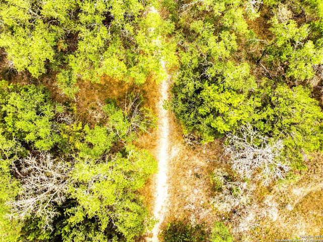 156 Texas Mulberry, San Antonio, TX 78253