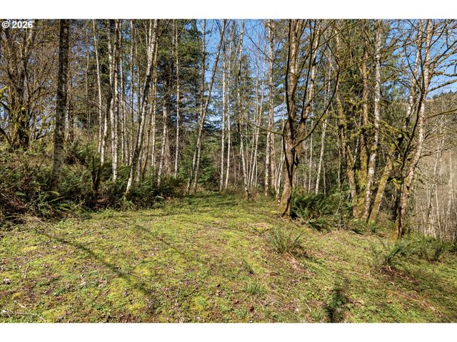 Ne 5TH St, Washougal, WA 98671
