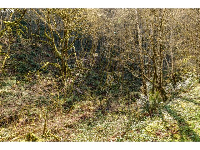 Ne 5TH St, Washougal, WA 98671