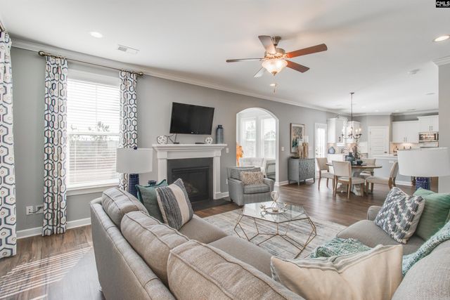 153 Aldergate Drive, Lexington, SC 29073