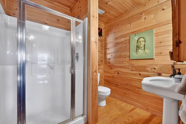 240 Lower Prince Mountain Road, Cherry Log, GA 30522