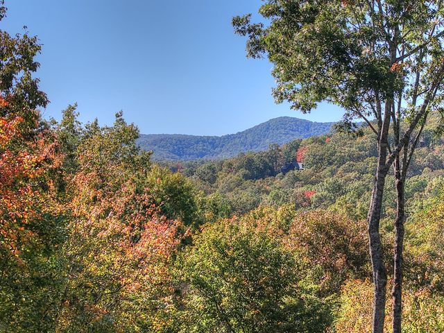 240 Lower Prince Mountain Road, Cherry Log, GA 30522