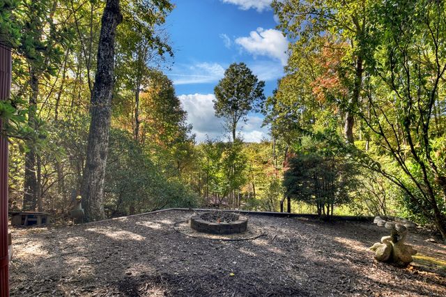 240 Lower Prince Mountain Road, Cherry Log, GA 30522