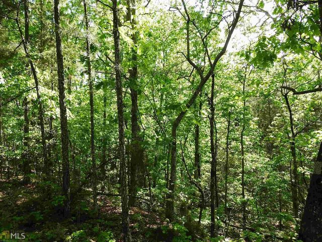 0 Griffin Road 5007-PARCEL 1, Cartersville, GA 30120