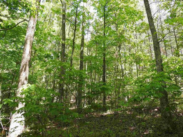 0 Griffin Road 5007-PARCEL 1, Cartersville, GA 30120