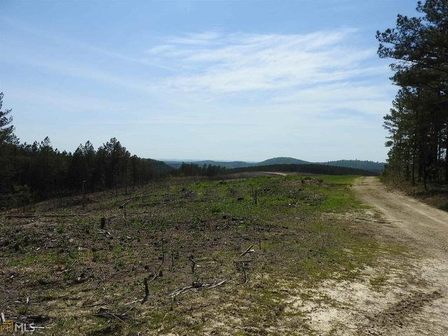 0 Griffin Road 5007-PARCEL 1, Cartersville, GA 30120