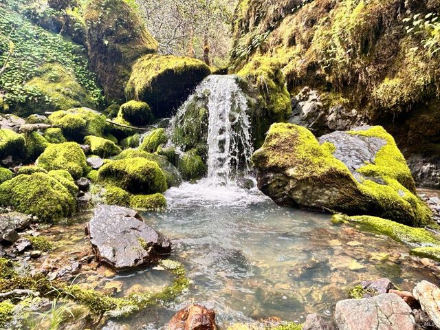 8401 Brandywine Dr, Ukiah, CA 95482