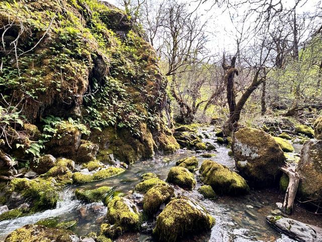 8401 Brandywine Dr, Ukiah, CA 95482