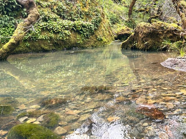 8401 Brandywine Dr, Ukiah, CA 95482