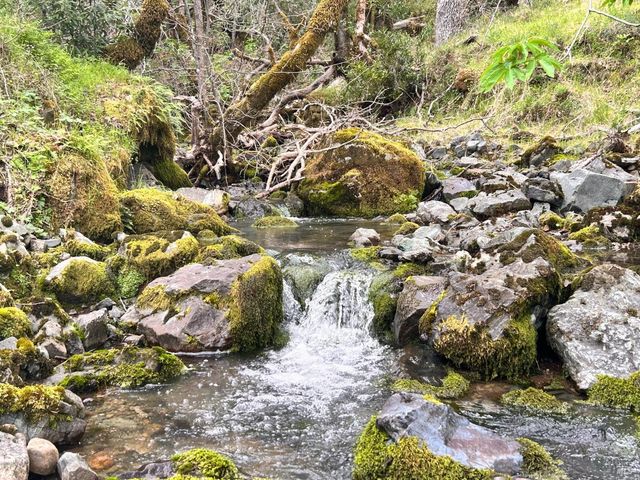 8401 Brandywine Dr, Ukiah, CA 95482