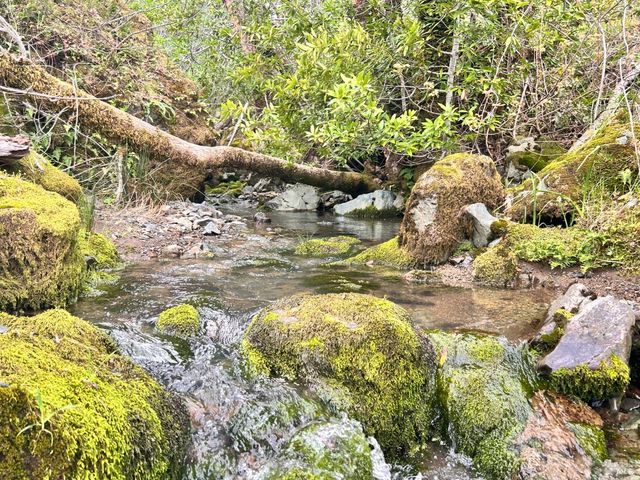 8401 Brandywine Dr, Ukiah, CA 95482