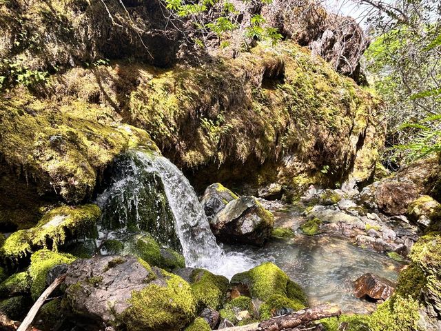 8401 Brandywine Dr, Ukiah, CA 95482