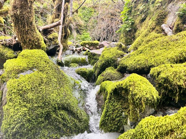 8401 Brandywine Dr, Ukiah, CA 95482