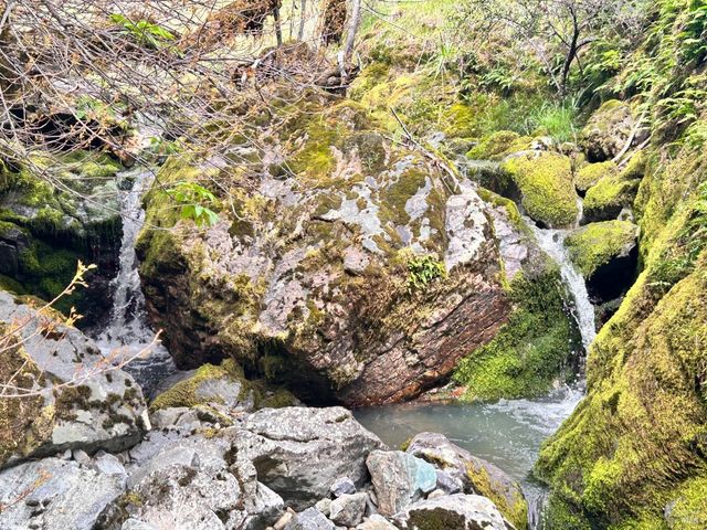 8401 Brandywine Dr, Ukiah, CA 95482