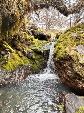 8401 Brandywine Dr, Ukiah, CA 95482