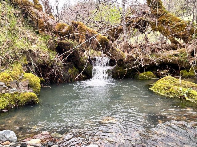 8401 Brandywine Dr, Ukiah, CA 95482