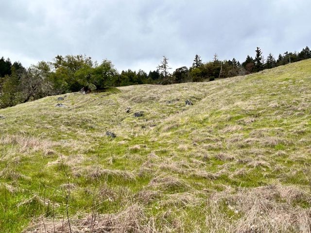 8401 Brandywine Dr, Ukiah, CA 95482