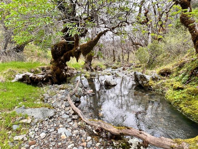 8401 Brandywine Dr, Ukiah, CA 95482