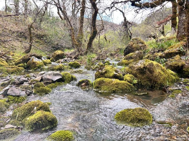 8401 Brandywine Dr, Ukiah, CA 95482