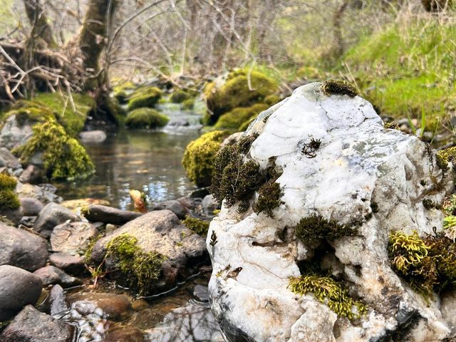 8401 Brandywine Dr, Ukiah, CA 95482