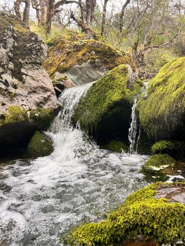 8401 Brandywine Dr, Ukiah, CA 95482