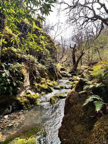 8401 Brandywine Dr, Ukiah, CA 95482