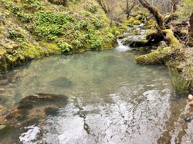 8401 Brandywine Dr, Ukiah, CA 95482