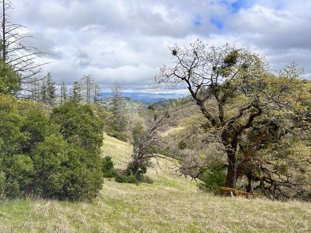 8401 Brandywine Dr, Ukiah, CA 95482