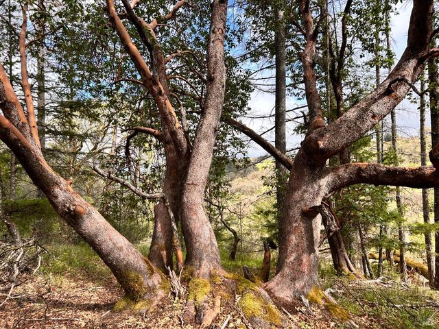 8401 Brandywine Dr, Ukiah, CA 95482