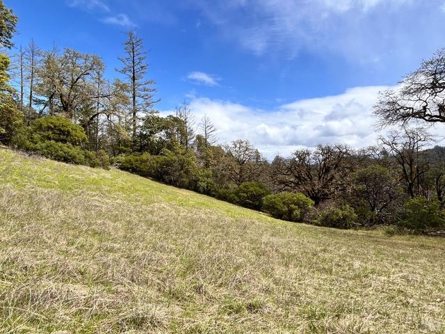 8401 Brandywine Dr, Ukiah, CA 95482