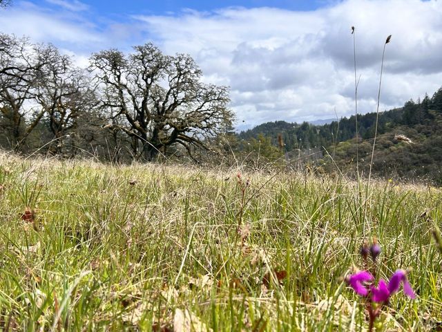 8401 Brandywine Dr, Ukiah, CA 95482