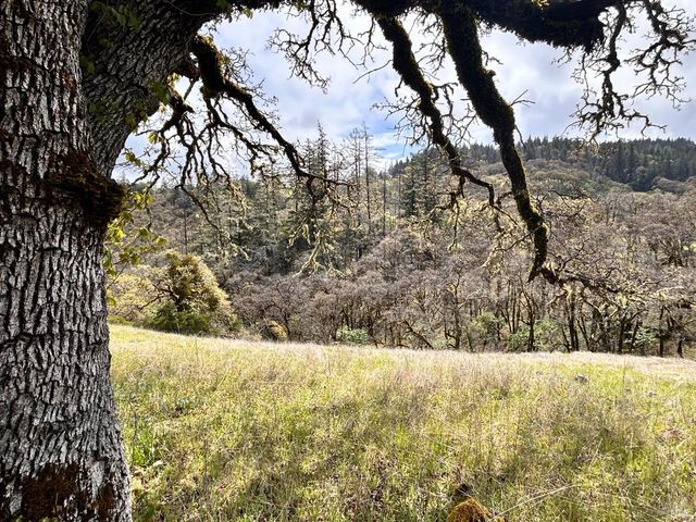 8401 Brandywine Dr, Ukiah, CA 95482