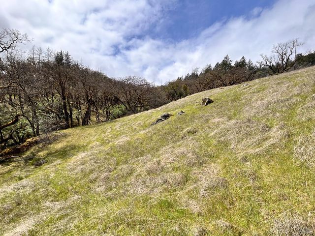 8401 Brandywine Dr, Ukiah, CA 95482