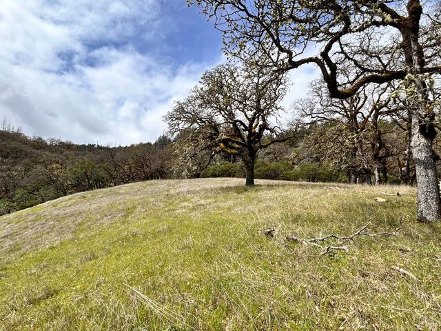 8401 Brandywine Dr, Ukiah, CA 95482