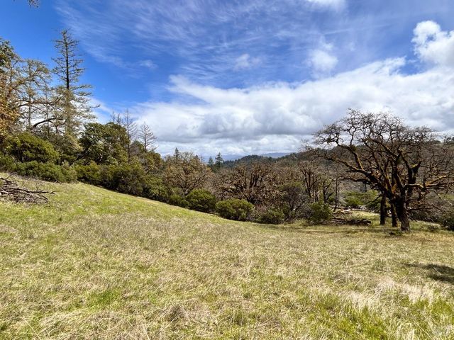 8401 Brandywine Dr, Ukiah, CA 95482