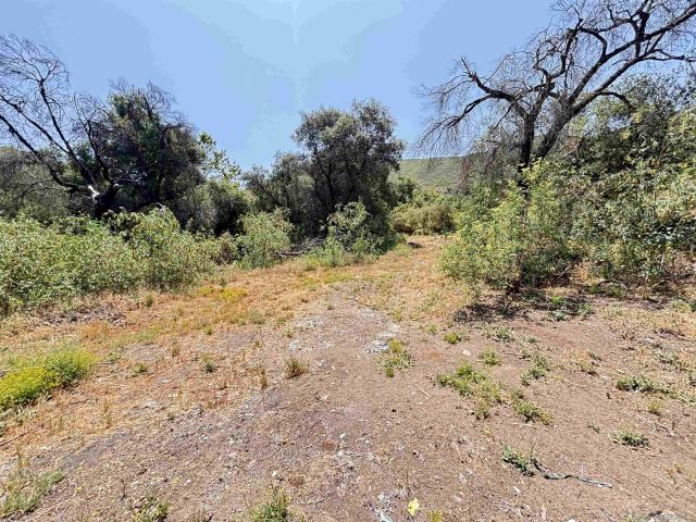 222444 Hwy 94 1, Dulzura, CA 91917